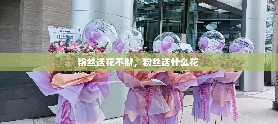 粉絲送花不斷，粉絲送什么花 
