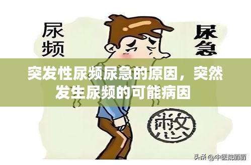 突發(fā)性尿頻尿急的原因，突然發(fā)生尿頻的可能病因 