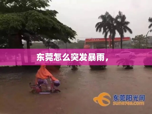 東莞怎么突發(fā)暴雨， 