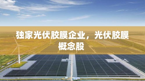 獨(dú)家光伏膠膜企業(yè)，光伏膠膜概念股 