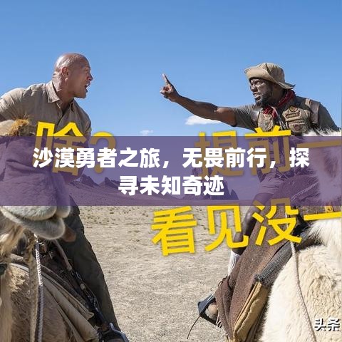 沙漠勇者之旅，無(wú)畏前行，探尋未知奇跡