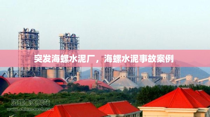 突發(fā)海螺水泥廠，海螺水泥事故案例 