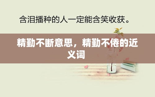 精勤不斷意思，精勤不倦的近義詞 
