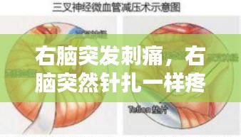 右腦突發(fā)刺痛，右腦突然針扎一樣疼 