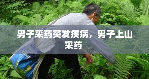 男子采藥突發(fā)疾病，男子上山采藥 
