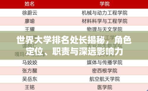 世界大學(xué)排名處長(zhǎng)揭秘，角色定位、職責(zé)與深遠(yuǎn)影響力