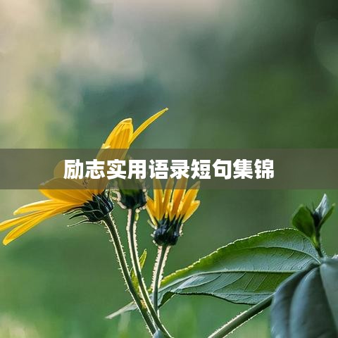 勵志實(shí)用語錄短句集錦