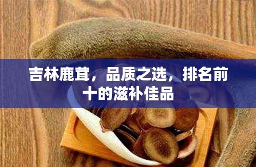 吉林鹿茸，品質(zhì)之選，排名前十的滋補(bǔ)佳品