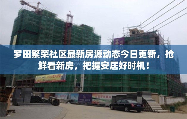 羅田繁榮社區(qū)最新房源動(dòng)態(tài)今日更新，搶鮮看新房，把握安居好時(shí)機(jī)！