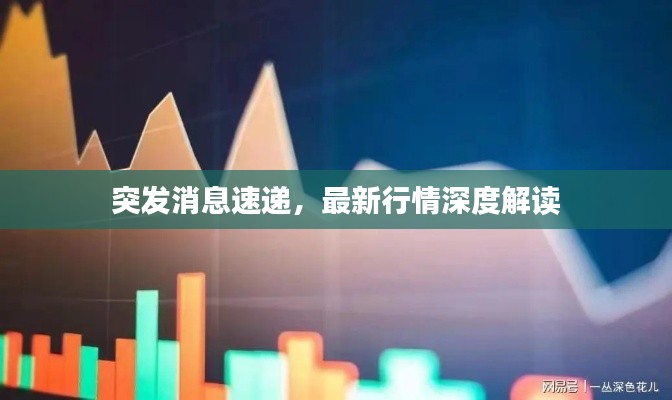 不翼而飛 第2頁