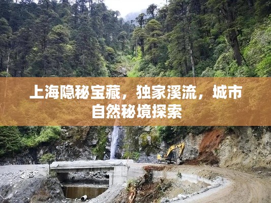 上海隱秘寶藏，獨家溪流，城市自然秘境探索