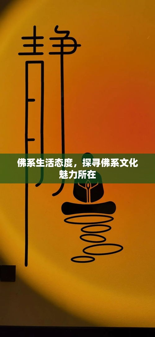 佛系生活態(tài)度，探尋佛系文化魅力所在