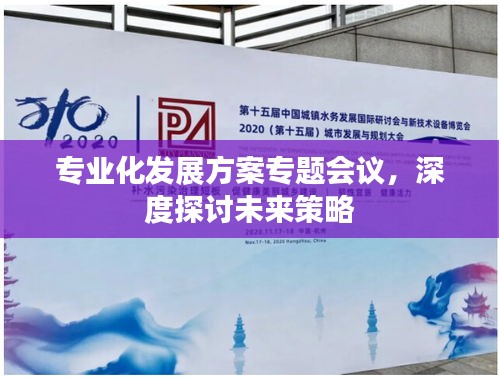 專(zhuān)業(yè)化發(fā)展方案專(zhuān)題會(huì)議，深度探討未來(lái)策略