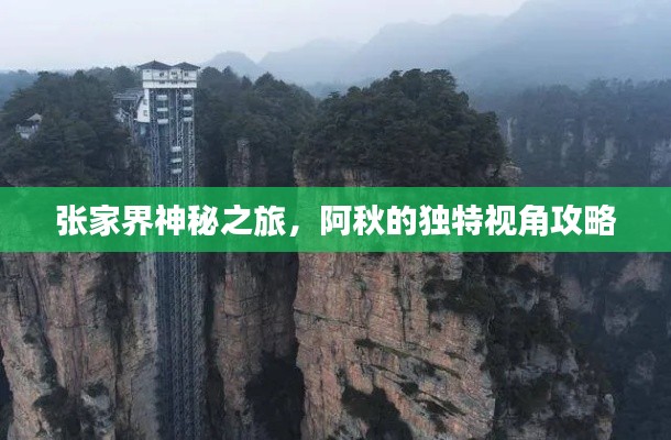 張家界神秘之旅，阿秋的獨(dú)特視角攻略