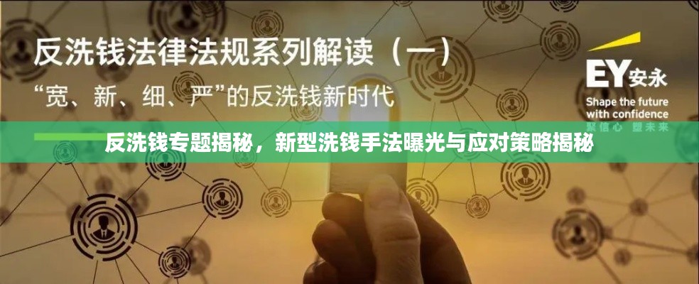 反洗錢專題揭秘，新型洗錢手法曝光與應對策略揭秘