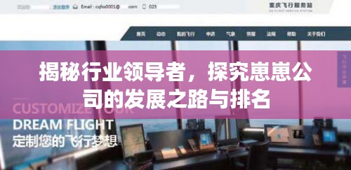 揭秘行業(yè)領導者，探究崽崽公司的發(fā)展之路與排名