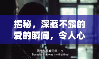 揭秘，深藏不露的愛的瞬間，令人心動(dòng)不已！