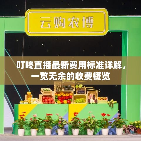叮咚直播最新費用標(biāo)準(zhǔn)詳解，一覽無余的收費概覽