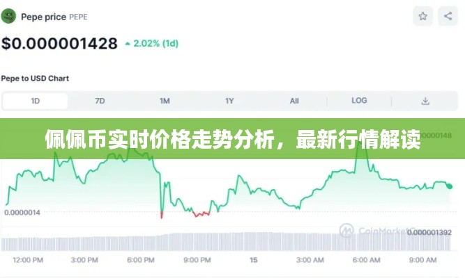 佩佩幣實時價格走勢分析，最新行情解讀