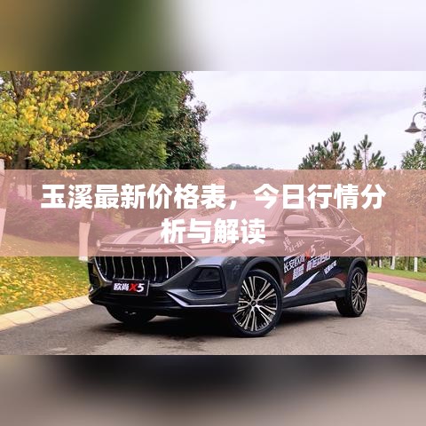 玉溪最新價格表，今日行情分析與解讀
