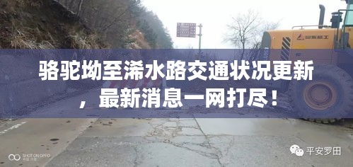 駱駝坳至浠水路交通狀況更新，最新消息一網(wǎng)打盡！