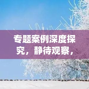 專題案例深度探究，靜待觀察，揭秘未知