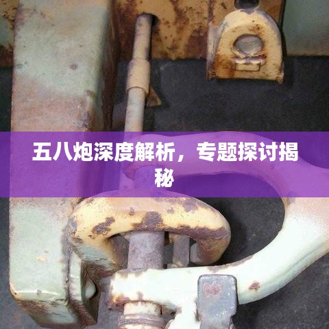 五八炮深度解析，專題探討揭秘
