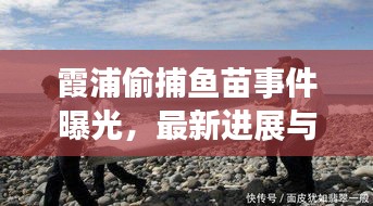 霞浦偷捕魚苗事件曝光，最新進展與細節(jié)揭秘