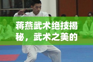 蔣燕武術(shù)絕技揭秘，武術(shù)之美的獨(dú)特魅力視頻欣賞