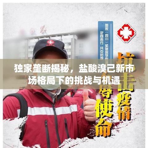 獨家壟斷揭秘，鹽酸溴己新市場格局下的挑戰(zhàn)與機(jī)遇