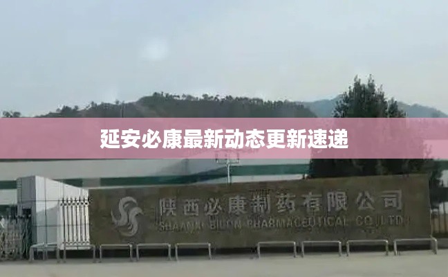 延安必康最新動態(tài)更新速遞