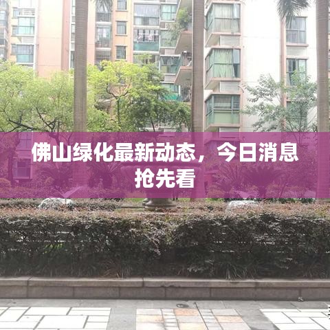佛山綠化最新動態(tài)，今日消息搶先看