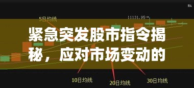 緊急突發(fā)股市指令揭秘，應(yīng)對(duì)市場(chǎng)變動(dòng)的關(guān)鍵策略指南