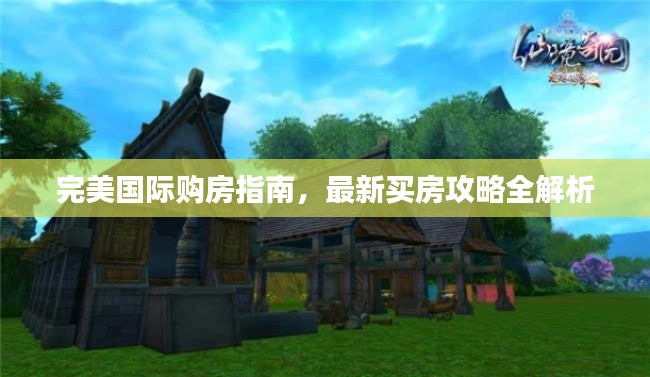 完美國際購房指南，最新買房攻略全解析