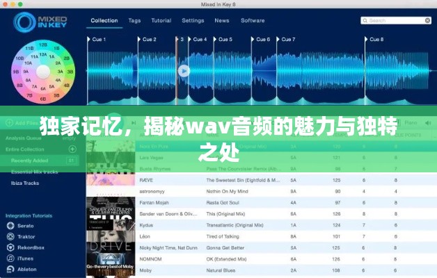 獨(dú)家記憶，揭秘wav音頻的魅力與獨(dú)特之處