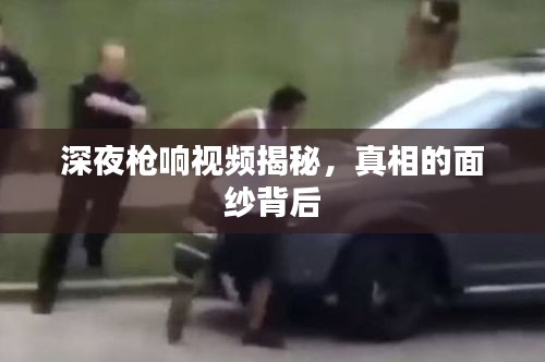 深夜槍響視頻揭秘，真相的面紗背后
