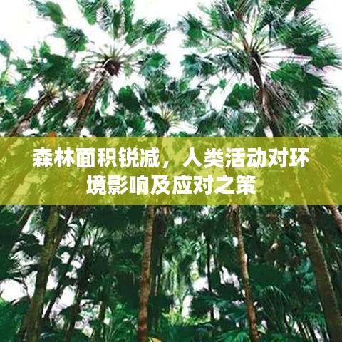 森林面積銳減，人類活動對環(huán)境影響及應對之策