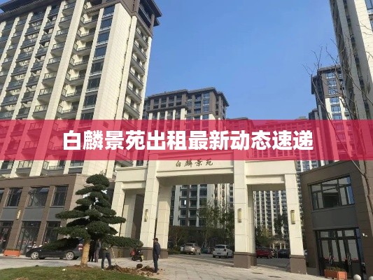 白麟景苑出租最新動態(tài)速遞