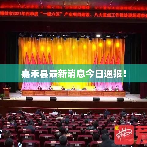 嘉禾縣最新消息今日通報(bào)！