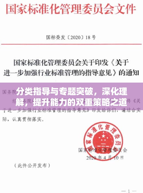 分類指導與專題突破，深化理解，提升能力的雙重策略之道