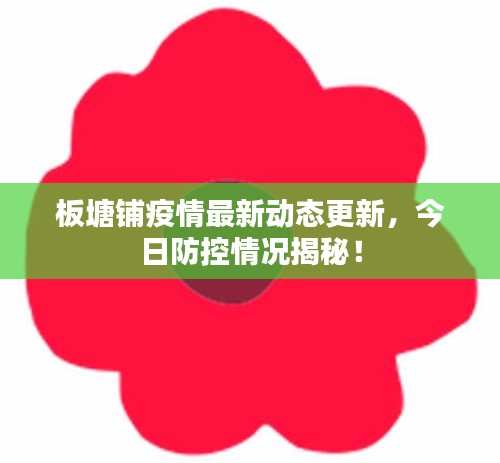 板塘鋪疫情最新動態(tài)更新，今日防控情況揭秘！