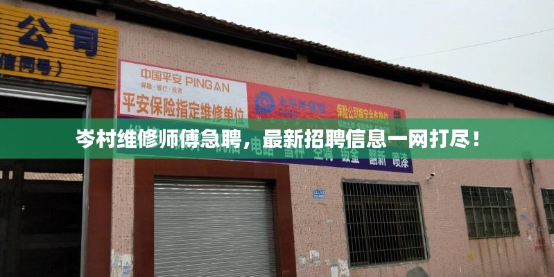 岑村維修師傅急聘，最新招聘信息一網(wǎng)打盡！