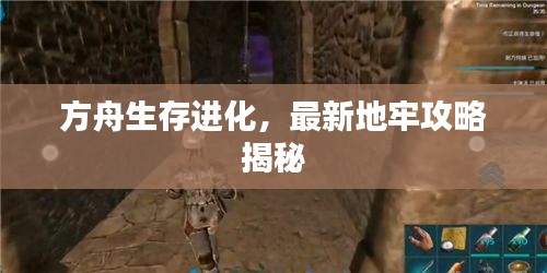 方舟生存進(jìn)化，最新地牢攻略揭秘