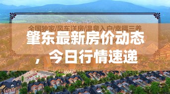 肇東最新房價動態(tài)，今日行情速遞