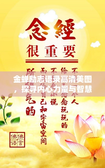 金蟬勵志語錄高清美圖，探尋內(nèi)心力量與智慧，激發(fā)無限潛能！