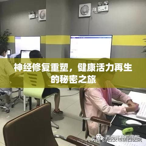 神經(jīng)修復(fù)重塑，健康活力再生的秘密之旅
