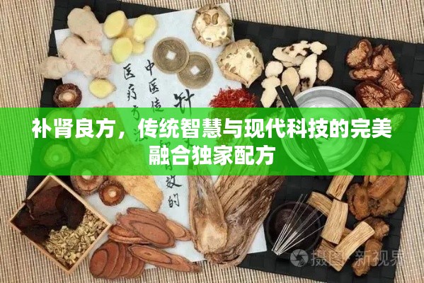 補腎良方，傳統(tǒng)智慧與現(xiàn)代科技的完美融合獨家配方