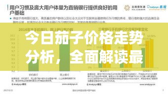 今日茄子價格走勢分析，全面解讀最新行情