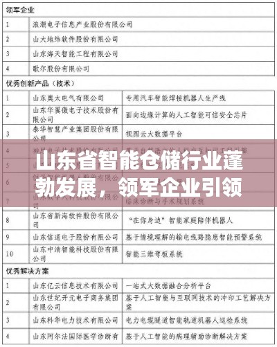 山東省智能倉儲行業(yè)蓬勃發(fā)展，領(lǐng)軍企業(yè)引領(lǐng)潮流榜單揭曉！