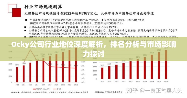 Ocky公司行業(yè)地位深度解析，排名分析與市場(chǎng)影響力探討